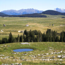 Project Idea logo of Building Resilience: Sustainable Water and Livestock Use in Alpine Karst Landscapes